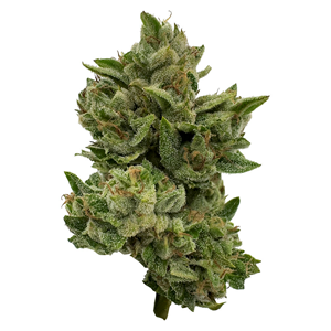 Deelish - Pretty Sweet Sativa - 28g