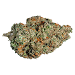 Tuck Shop - Valley Girl - Hybrid - 7g