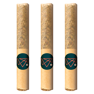 Tremblant Cannabis - Pure Moroccan Hash Pre-rolls - Indica - 3x0.5g