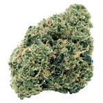 7ACRES - Northern OG Kush - Hybrid - 7g