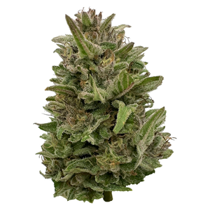 Deelish - Pretty Chill Indica - 28g
