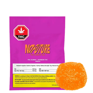 No Future - The Orange One - Indica - 1x10mg