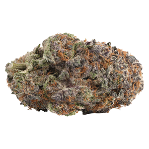 WINK - Purple Push Pop - Indica - 7g