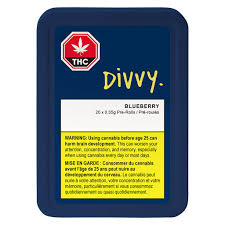 Divvy - Blueberry Pre-Roll - Indica - 12x0.35g