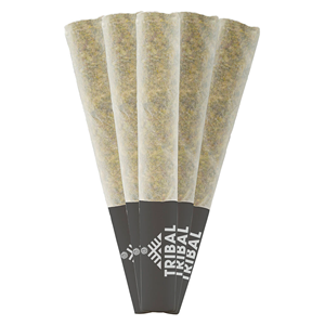 Tribal - Neon Sunshine Pre-Roll - Hybrid - 5x0.5g
