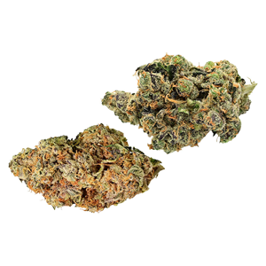 Next Friday - Burner Phone Special - Hybrid - 7g