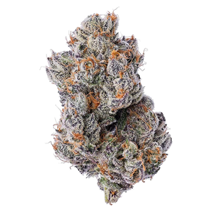 Coterie - Purple Zushi - Indica - 7g