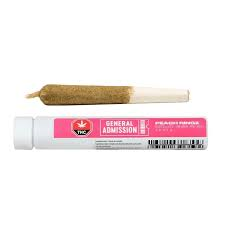 General Admission - Peach Ringz Distillate Infused Pre-Roll - Sativa - 1x1g