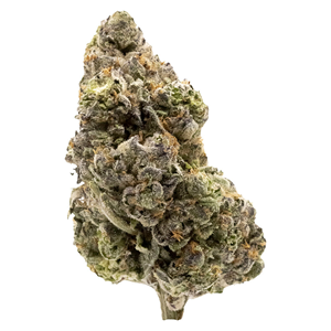 FIGR - Midnight Sherb - Dried Flower - Sativa - 14g
