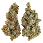 Highly Dutch - Organic Butter Cookies x Organic NYC Juggernaut - Hybrid - 28g