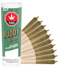 Buddy Blooms -10th Planet Pre-Rolls - Hybrid - 10x0.5g
